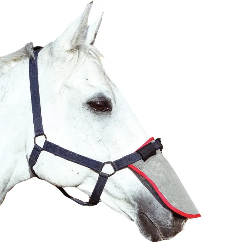 Authentique Protection solaire de nez Equilibrium – L – Gris