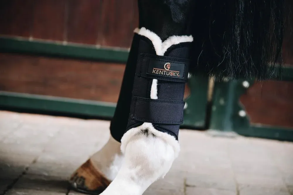 Meilleur Prix Gutres fermes Solimbra postrieurs Kentucky - Cheval - Noir