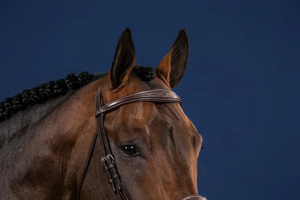 Frontal Droit Anatomique US Collection by Dy'on - Cheval - Brun Certifi
