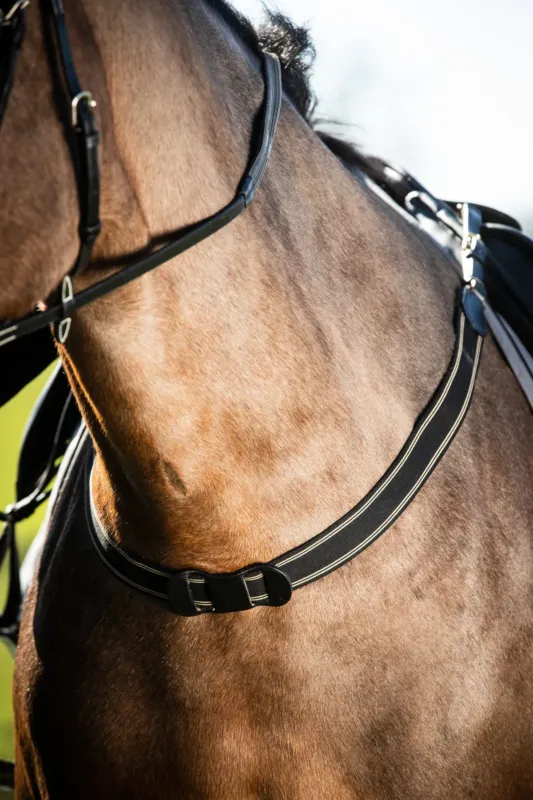 Affaire Saisir Bricole lastique simple HFI Master - Cheval - Noir / noir