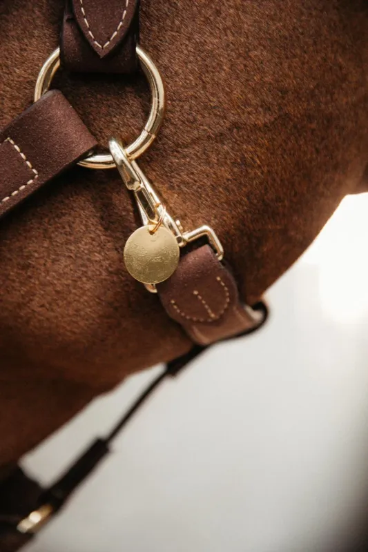 Meilleur Prix Mdaille Kentucky - 220 mm - Or