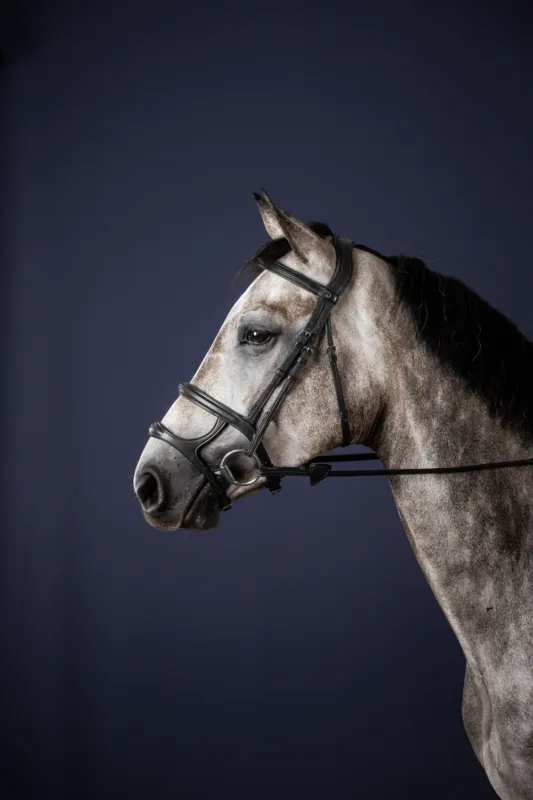 Offre Spciale Bridon Double Muserolle New English Collection by Dy'on - Grand cheval - Noir
