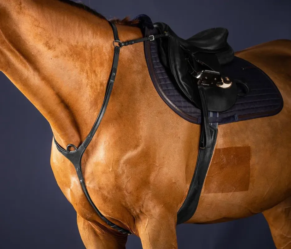 Collier De Chasse Pont New English Collection by Dy'on - Cob - Noir Vente Directe