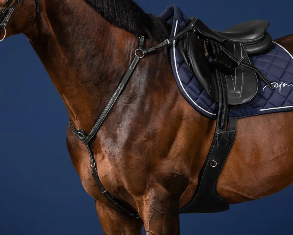 Expdition Rapide Collier De Chasse Pont US Collection by Dy'on - Cob - Noir