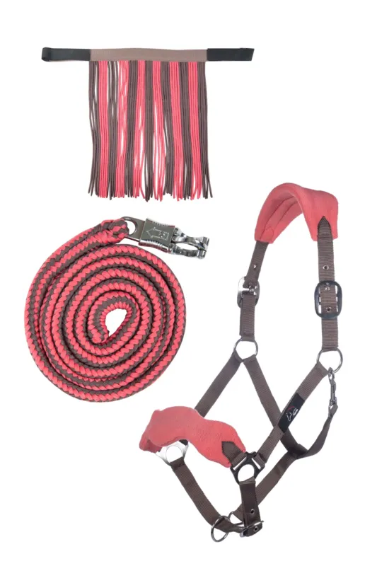 Produit De Marque Set de licol HKM mousqueton anti-paniques franges dtachables - Poney - Moka / milky pink