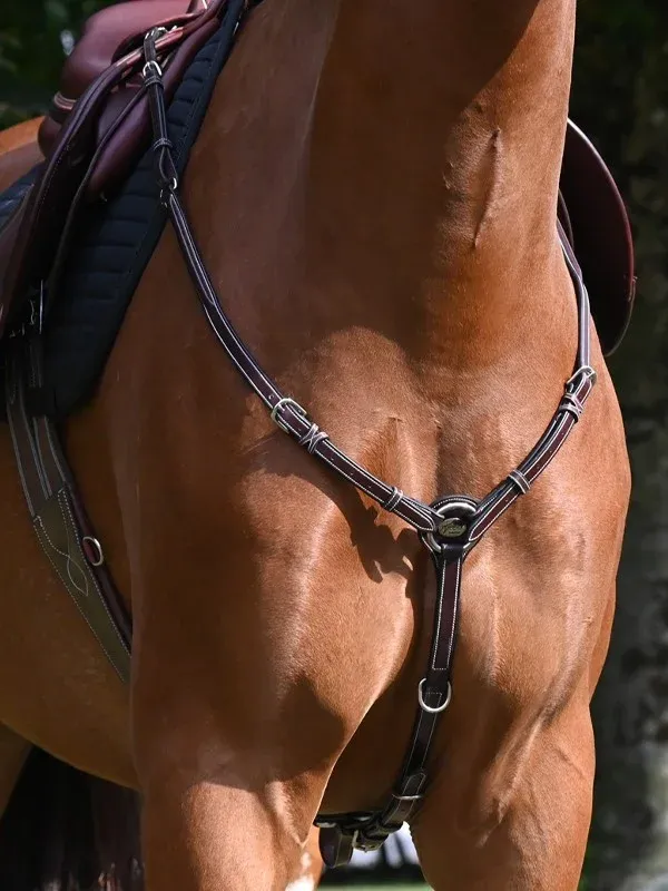 Prix Promo Collier de chasse Tuesday Jump'In week - Cob - Acajou