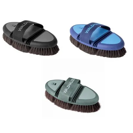 Brosse Flexible En Crins De Cheval Waldhausen - KAKI/VERT Soldes