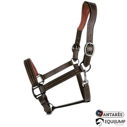Licol Cuir Signature By Antares - XFULL/TRAIT - NOIR Offre Exclusive
