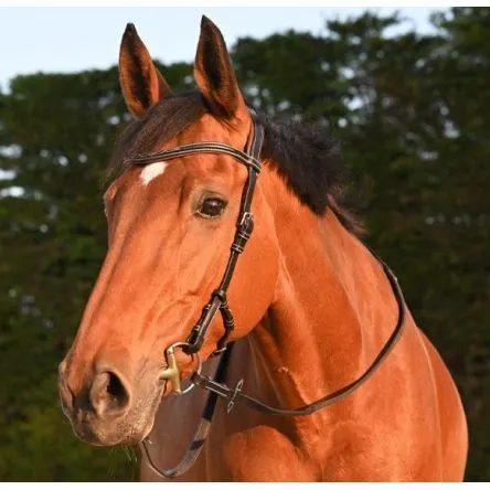 Bridon One Liberty Jump'in - COB/PUR-SANG - NOIR/ACAJOU Meilleur Prix