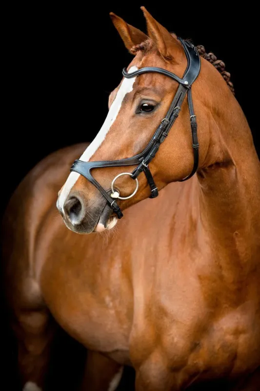 Meilleur Choix Bridon Montar US Excellence Adapt cuir tann - Poney - Noir