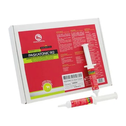PASKATONIC 912 Seringue 15 ml# Bon March
