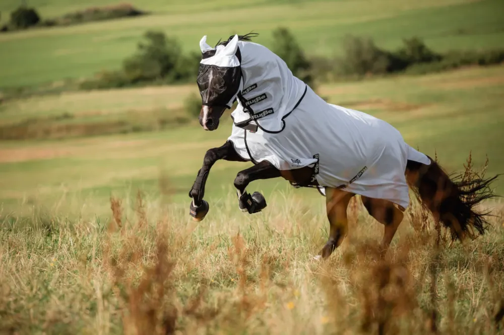 Masque anti-mouches SuperFly Covalliero protection des oreilles - Cheval - Blanc Achat Immdiat