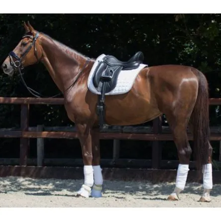 Livraison Express Tapis Florence Blanc QHP - Dressage - CHEVAL/FULL