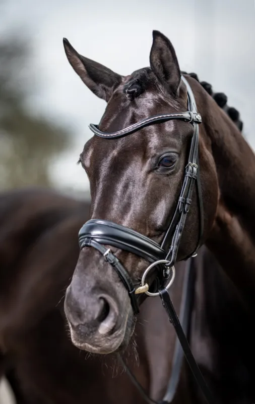 Bridon de dressage Classic LeMieux - Cheval - Noir Populaire