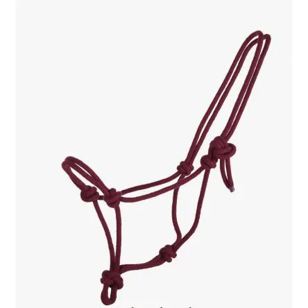Licol corde basic QHP - BORDEAUX - MINI SHETLAND Meilleure Vente