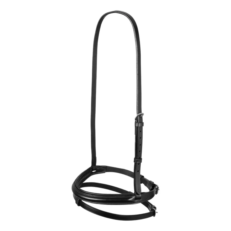 Bon Plan Bride avec muserolle combine Equestro - Cheval - Noir