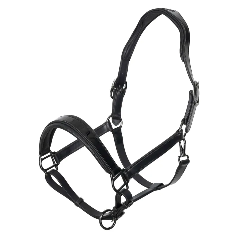 Haute Qualit Licol Imperial Riding Hera - Cheval - Noir