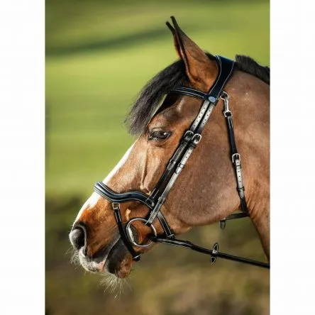 Achetez Aujourdhui Bridon Techno HFI - CHEVAL/FULL - NOIR