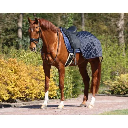 Nouveaut Couvre-Reins Carr Classy QHP - MARINE - L