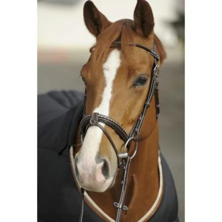 Populaire Bridon Point Sellier Penelope - COB/PUR-SANG - NOISETTE