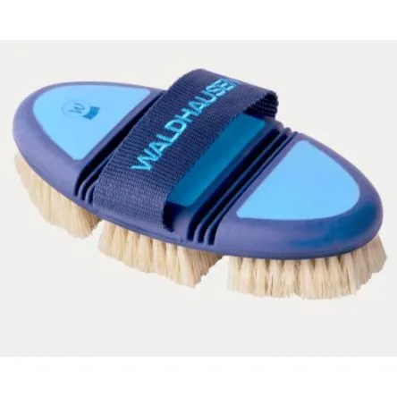 Brosse Chiendent Flex Waldhausen Bleu Azur-Bleu# Nouveaut
