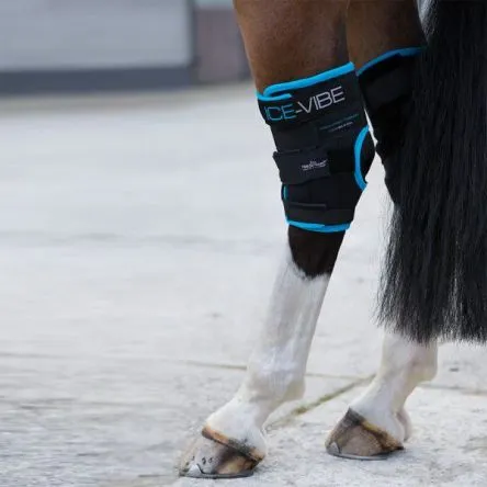 Proteges-Jarrets Ice Vibe Horseware# Seulement Aujourdhui