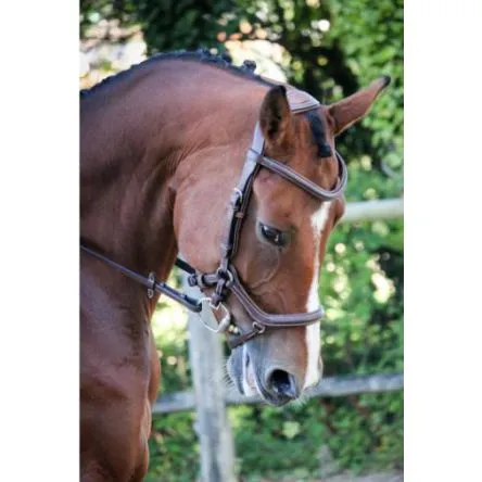 Offre Exclusive Bridon New York - Collection One - Jump In Noisette - CHEVAL/FULL - NOIR
