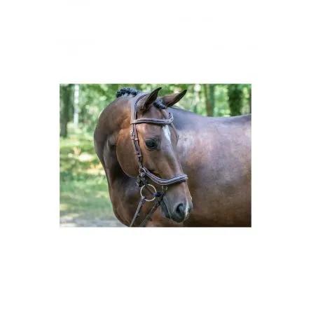 Offre Spciale Bridon Collection One Manhattan Jump In Noisette - CHEVAL/FULL