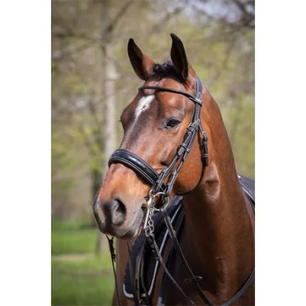 Offre Exclusive Bride Courchevel Noir Jump In Collection One - CHEVAL/FULL