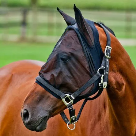 Masque Anti Mouche Lycra Noir - PONEY Achat Immdiat