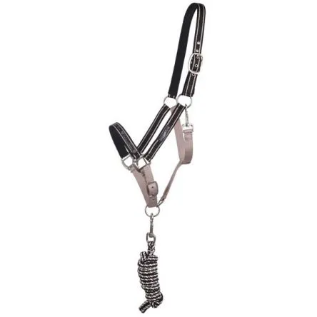 Duo Licol et Longe Collection Noir/Beige QHP - COB/PUR-SANG Quantit Limite