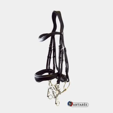 Must-Have Bride Dressage "Signature By Antares" Noir - COB/PUR-SANG