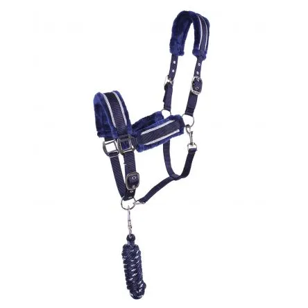 Licol + Longe Dolci QHP Bleu Marine - COB/PUR-SANG Haute Qualit