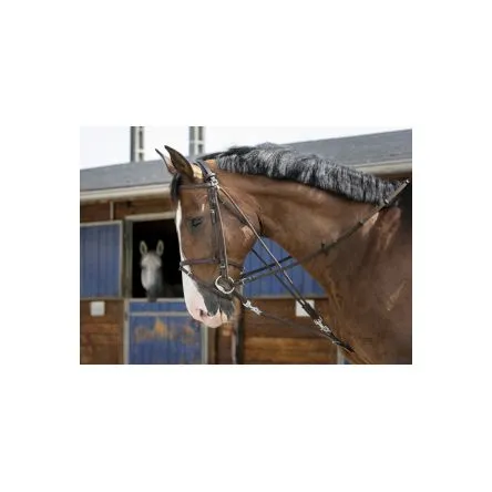 Commander Vite Gogue Riding World - NOIR - CHEVAL/FULL