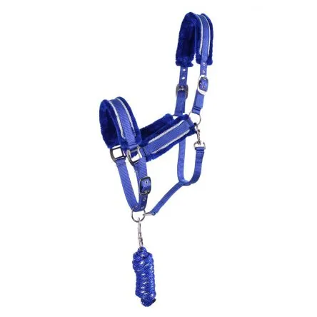 Acheter En Ligne Licol + Longe Dolci QHP Bleu Roi - COB/PUR-SANG
