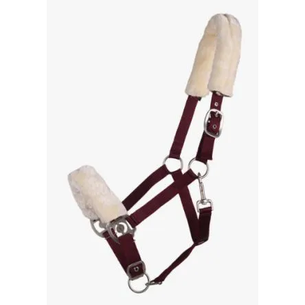Licol QHP Florence Bordeaux - COB/PUR-SANG Nouvel Arrivage