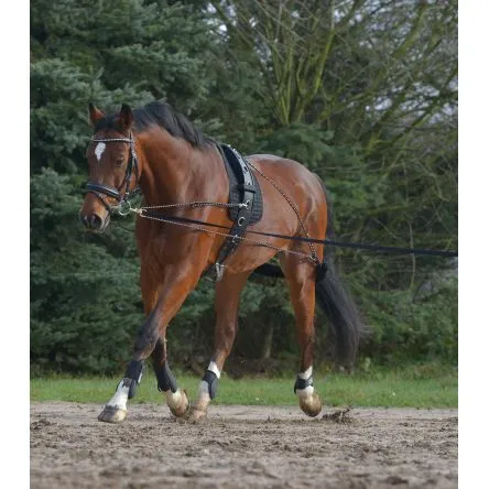 Must-Have Systme de Longe Waldhausen Noir - PONEY