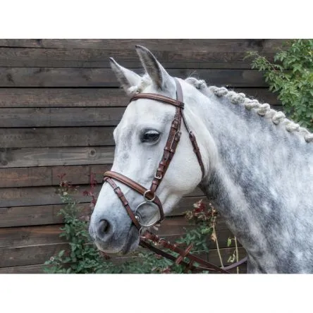 Bridon Sisley - HAVANE - PONEY Populaire