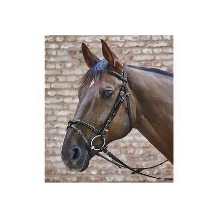 Super Prix Bridon STAR Basic - NOIR - COB/PUR-SANG