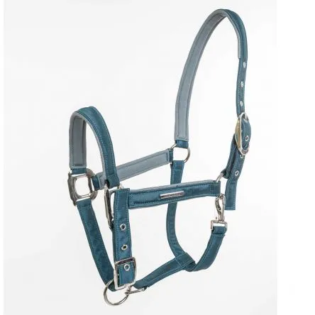 Licol Aurora Turquoise Lamicell - COB/PUR-SANG Soldes