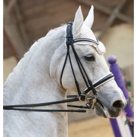 Bride Ribera TdeT - COB/PUR-SANG Petit Prix