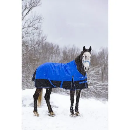 Prix Bas Couverture 0g Equi-Theme Tyrex 1200D "Aisance" High Neck - BLEU/NOIR - 120CM