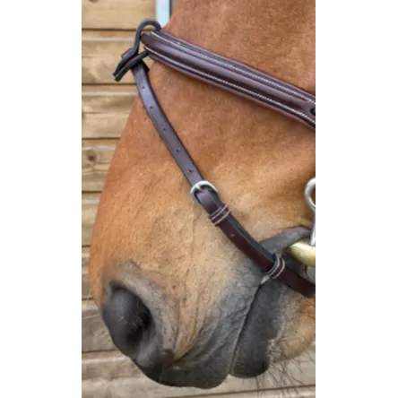 Seulement Aujourdhui Noseband Jump In - CHEVAL/FULL - NOIR