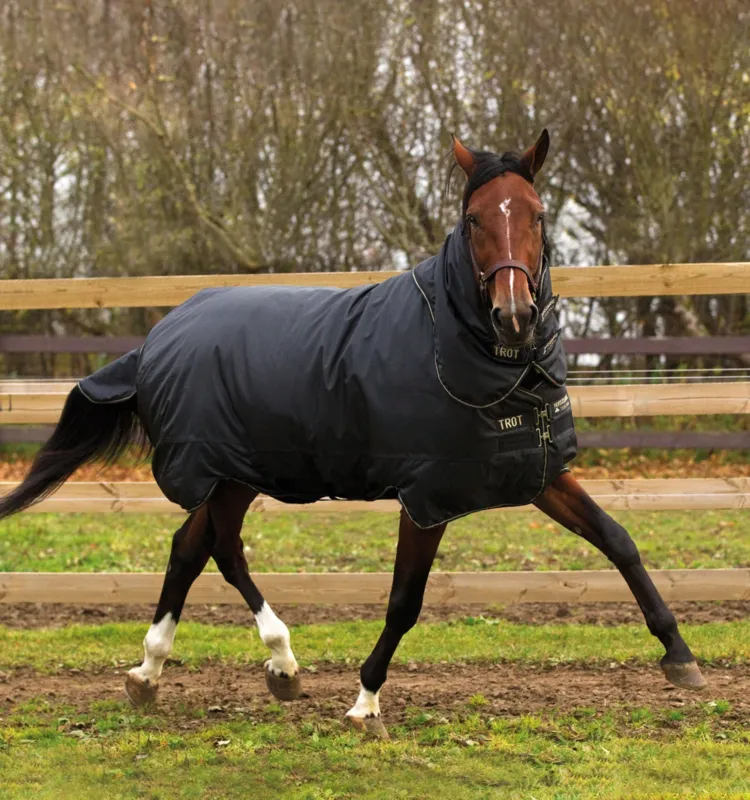 Bon March Couverture Horseware Trot Plus avec couvre-cou 350g 600D - 130 cm - Noir / noir / tan