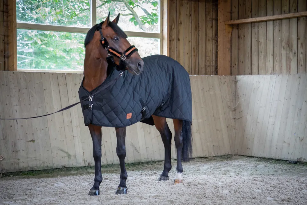 Couverture Paddock Sports Matelasse - 125 cm - Noir Prix Rduit