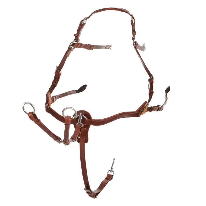 Collier de chasse martingale Acavallo en cuir 5 points - Cheval - Cognac Usine Directe