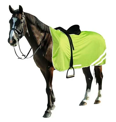 Haute Qualit Couvre reins reflection Covalliero - 135 cm