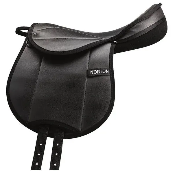 Seulement Aujourdhui Selle Educative Norton Rexine Junior