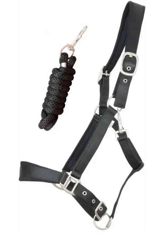 Licol satin doubl avec longe ronde T de T - Poney - Noir Solde