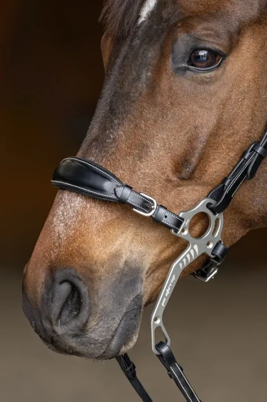 Set Muserolle Gourmette Hackamore HFI Master - Cheval - Noir Seulement Aujourdhui